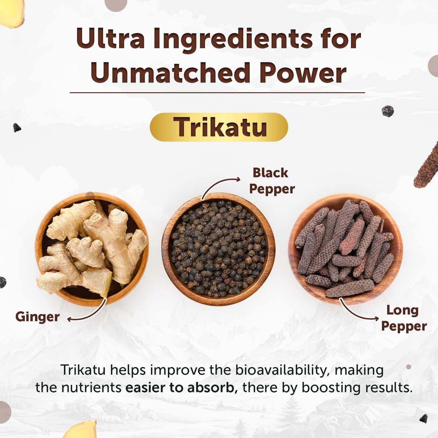 Shilajit Gold Ultra Resin 20g - Powerful Stamina Booster Shilajit Gold Ultra Resin 20g - Powerful Stamina Booster