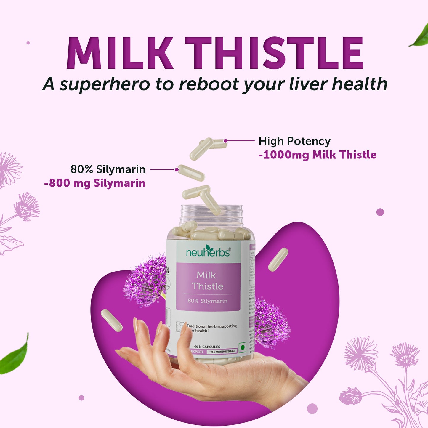 High Strength Milk Thistle Capsules For Liver Health milk thistle liver detox