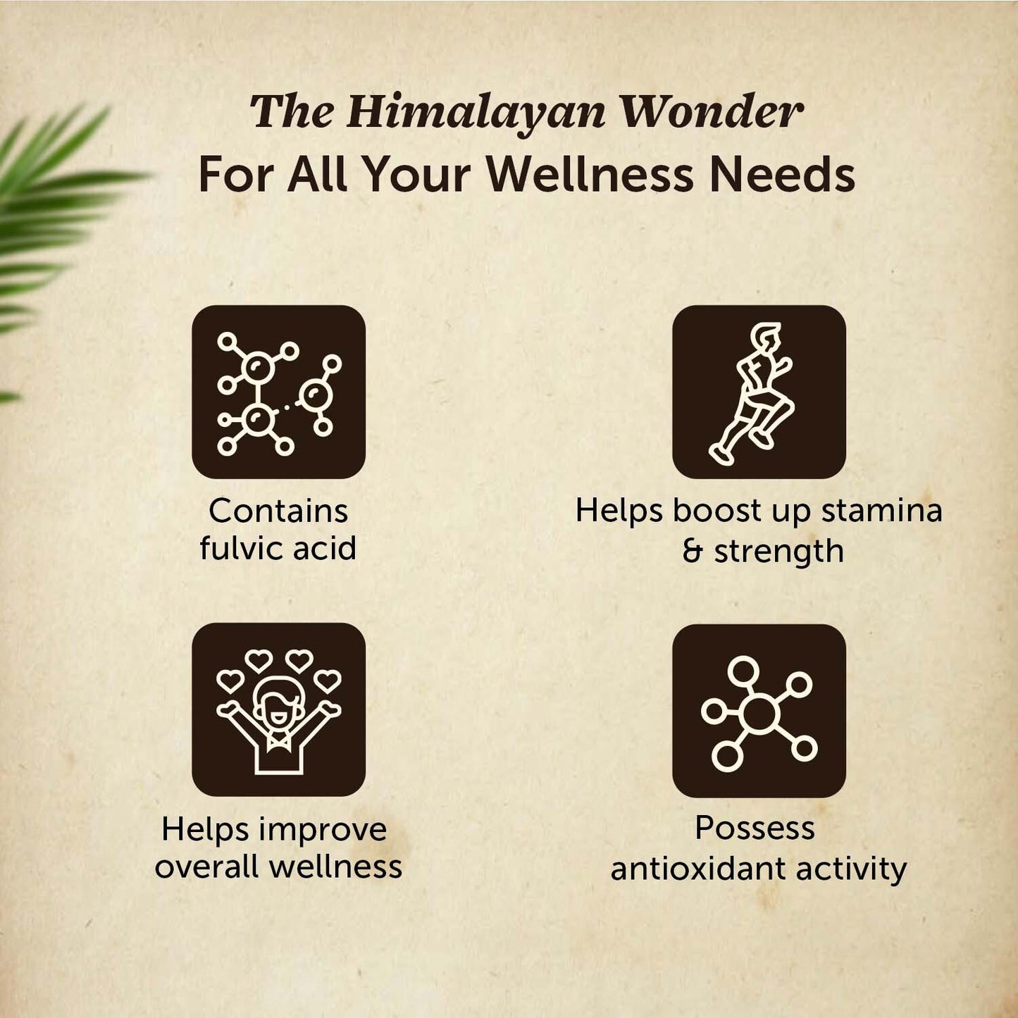 Pure Himalayan Shilajit Resin 15g - Stamina Booster Himalayan Shilajit Resin - Stamina Boost
