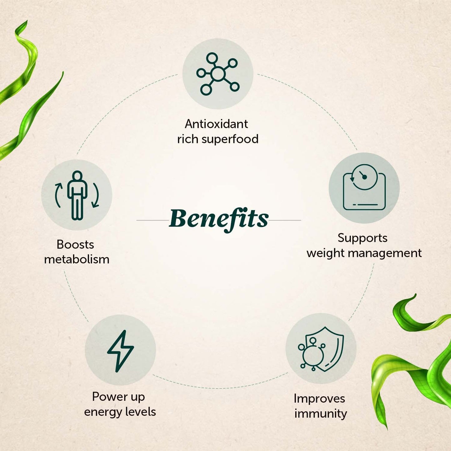 Organically Certified Spirulina Tablets for High Energy, Immunity and Weight Management for Men and Women Organically Certified Spirulina Tablets for High Energy, Immunity and Weight Management for Men and Women