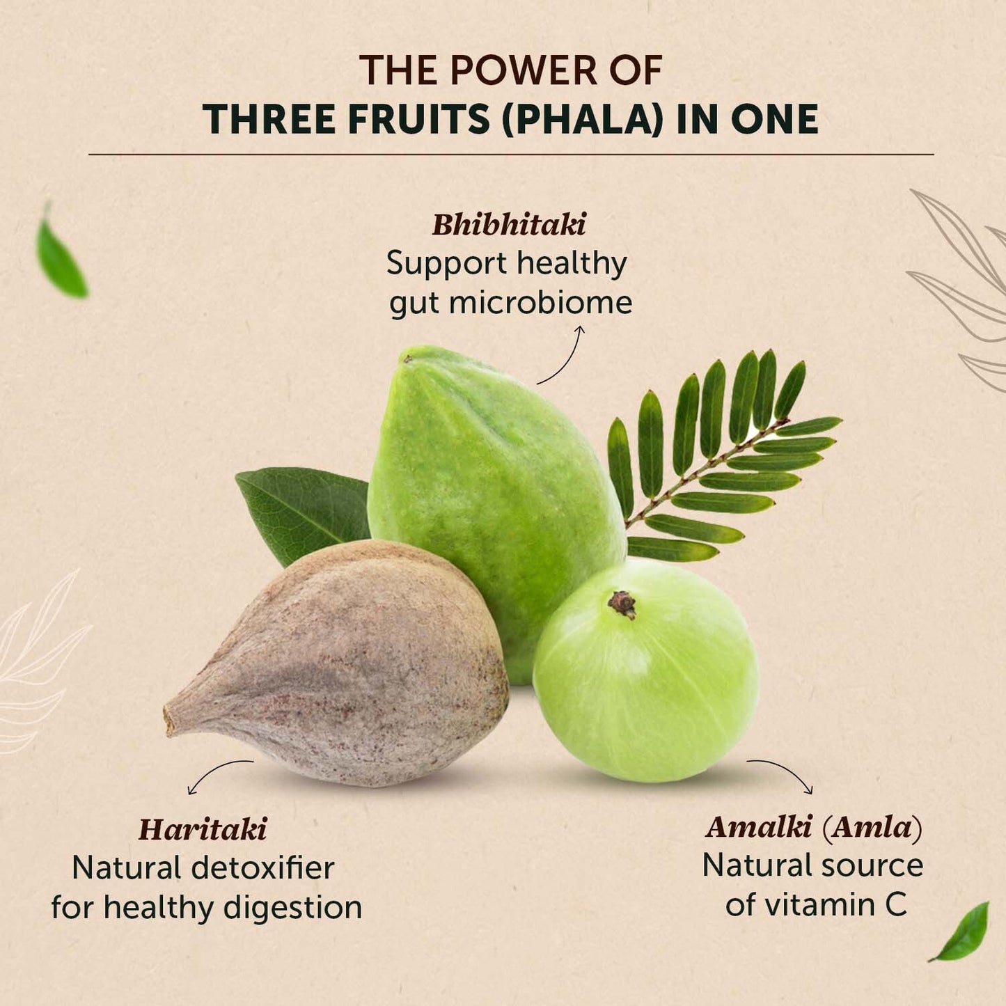 Organic Triphala Powder: Boost Digestion & Immunity Triphala powder next to Amla, Haritaki, and Bibhitaki fruits
