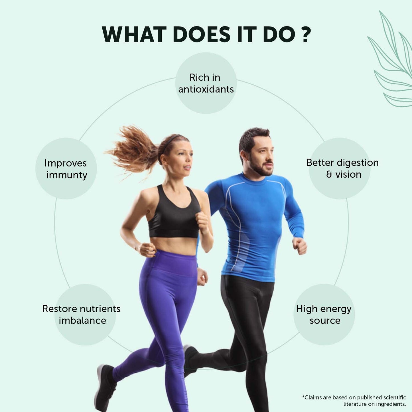 Organic Moringa Powder for Immunity, Weight Loss, Gut Health What Does it Do- Benefits