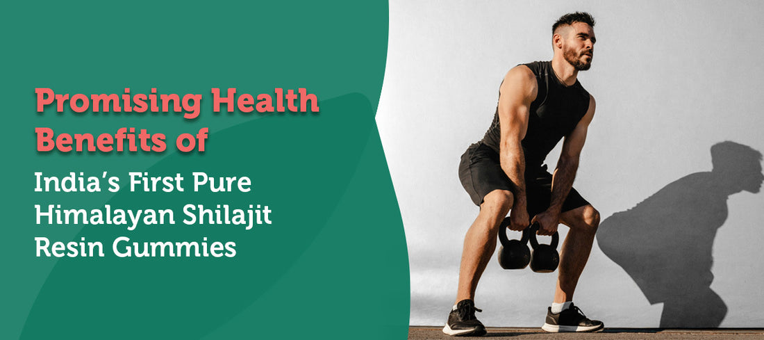 shilajit gummies for men