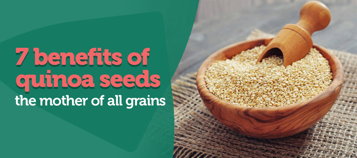 Benefits of quinoa seeds