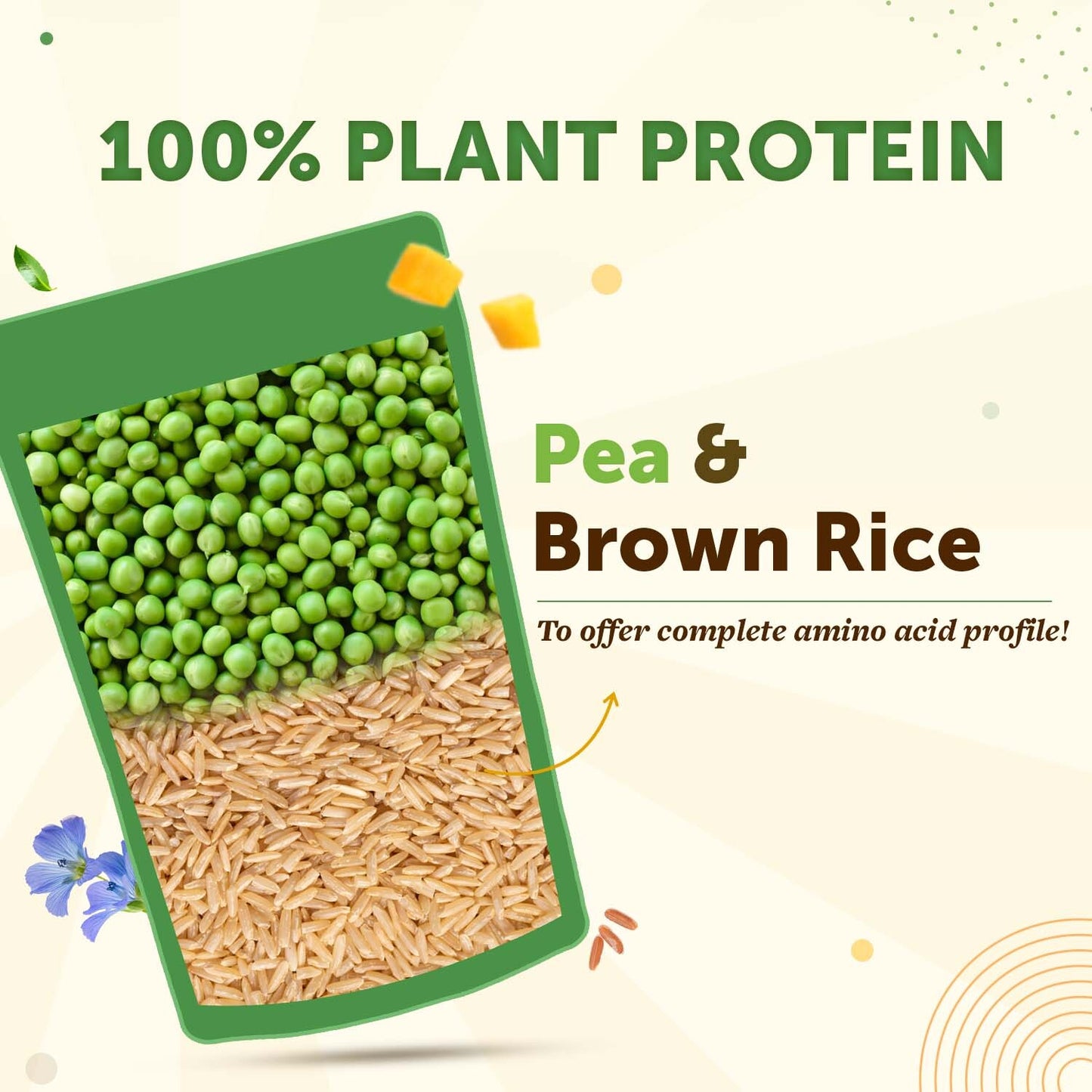 True Plant Protein Powder with Omega-3 – 24g Protein Per Serving