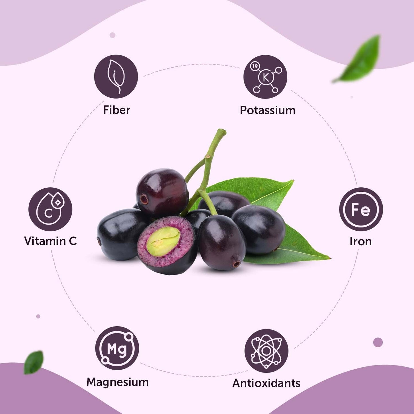 Natural Jamun Seed Powder for Blood Sugar Management