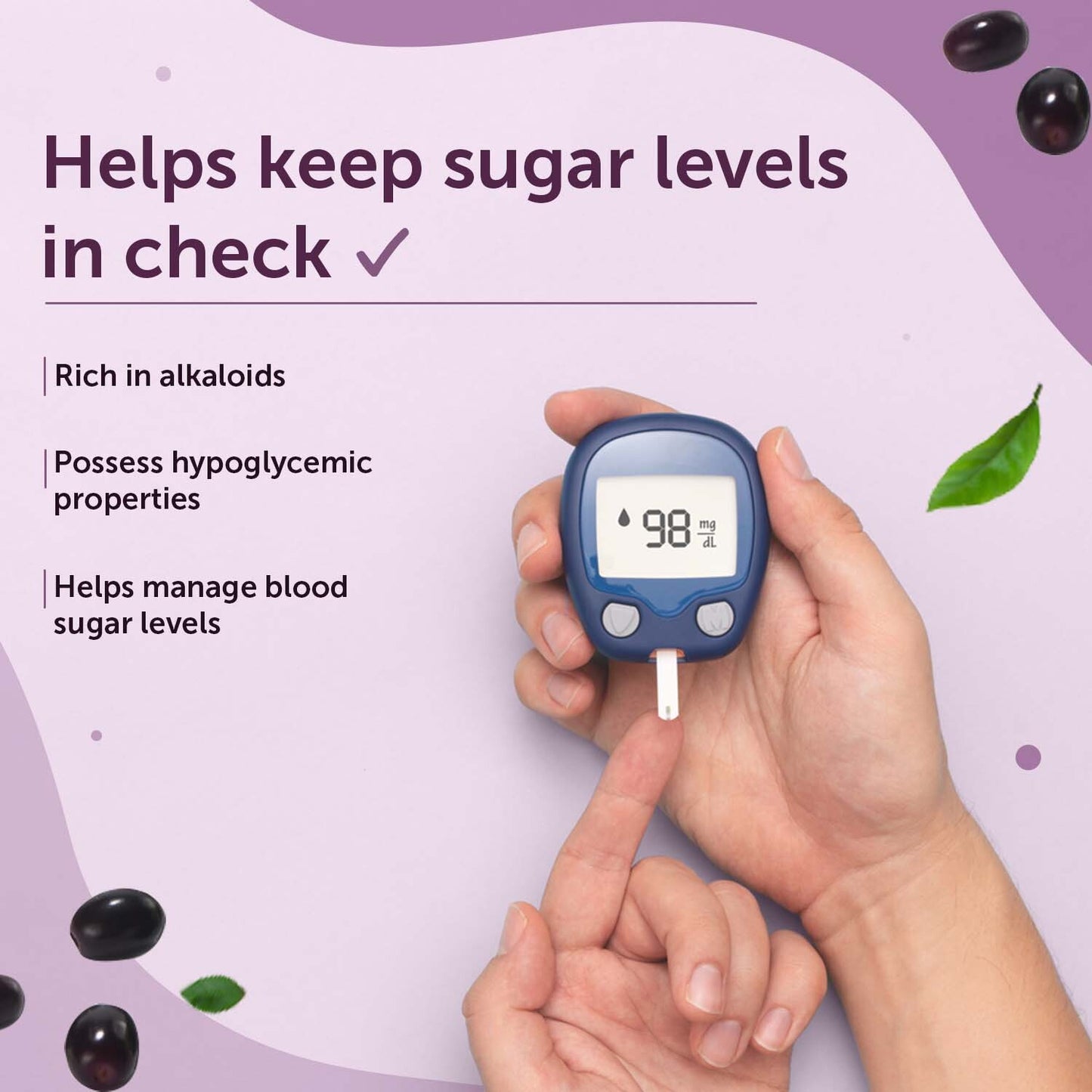 Natural Jamun Seed Powder for Blood Sugar Management