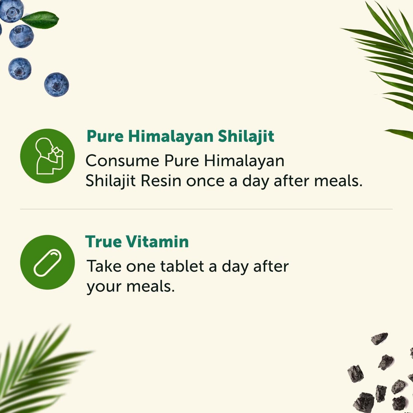 Men's Wellness Combo: True Vitamin & Pure Himalayan Shilajit