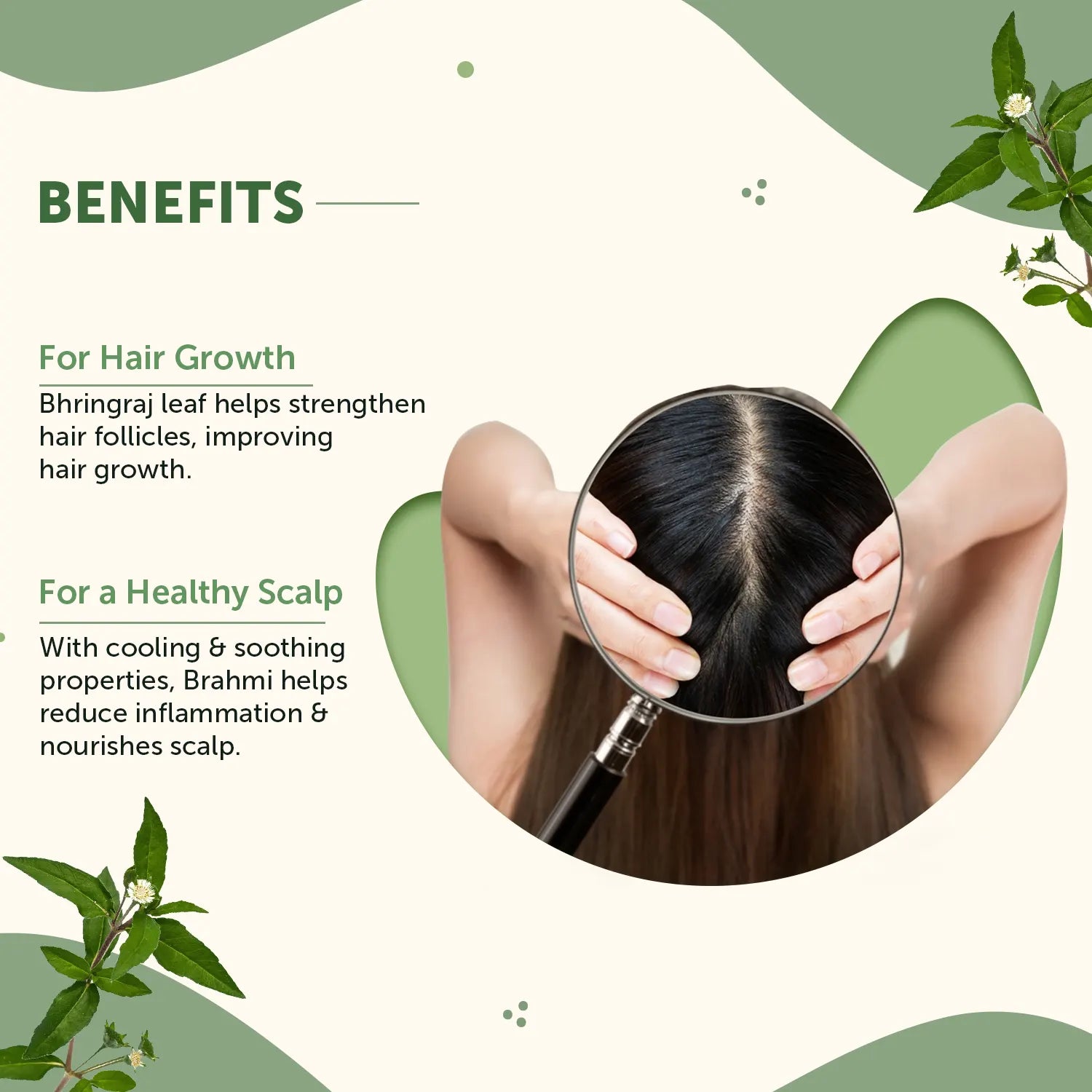 Bhringraj Powder for Skin & Hair Growth