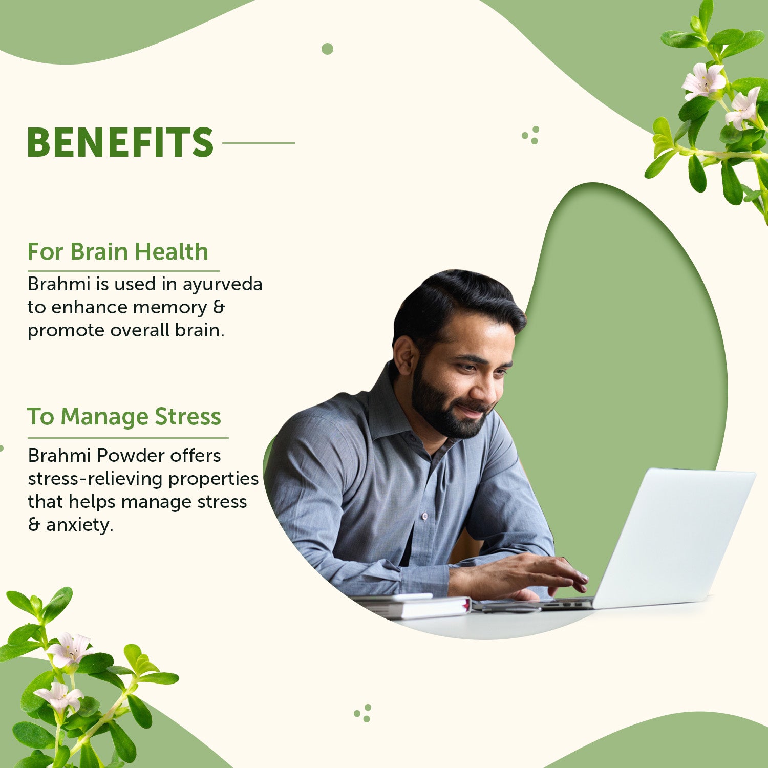 Organic Brahmi Powder for Stress Relief & Calm Mind image 2