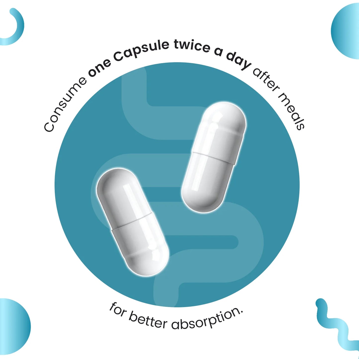 Daily Probiotic Capsules - Gut & Immune Health Boost