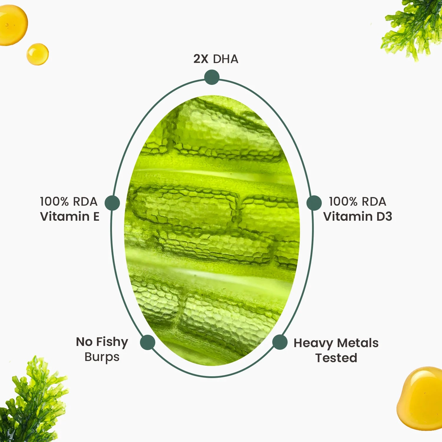 Neuherbs Deep-Sea Veg Omega | Algae Oil Capsules