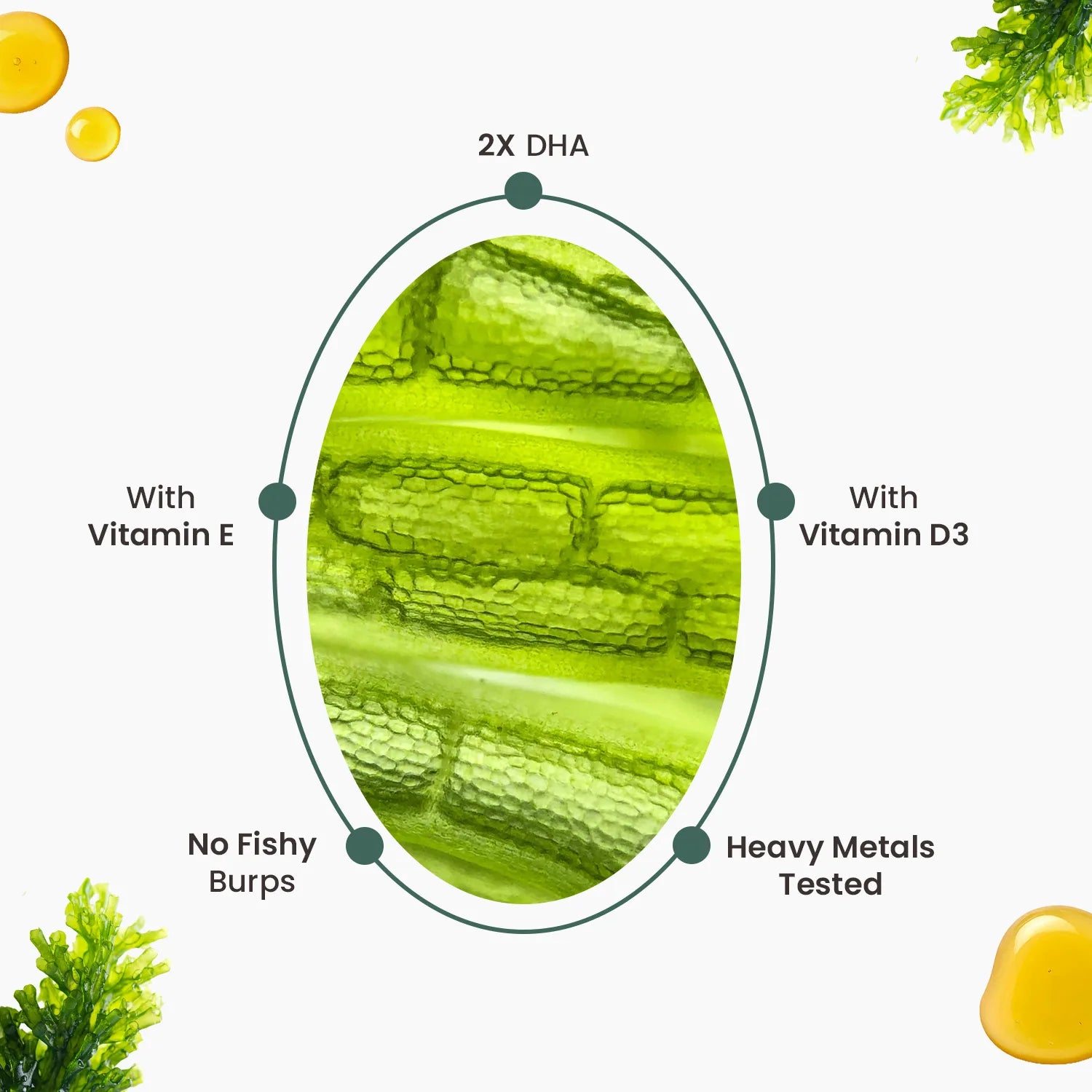 Neuherbs Deep-Sea Veg Omega | Algae Oil Capsules image 5