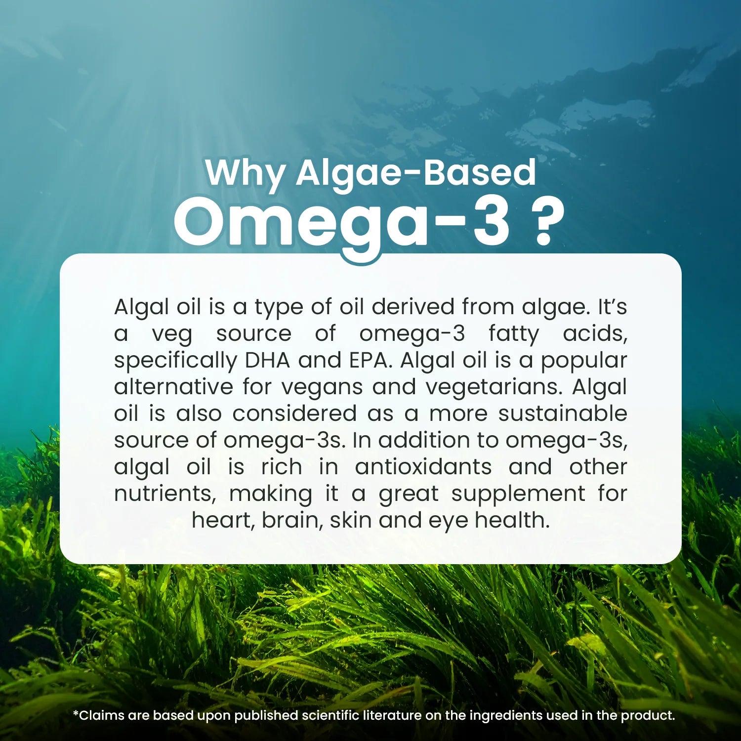 Neuherbs Deep-Sea Veg Omega | Algae Oil Capsules image 6