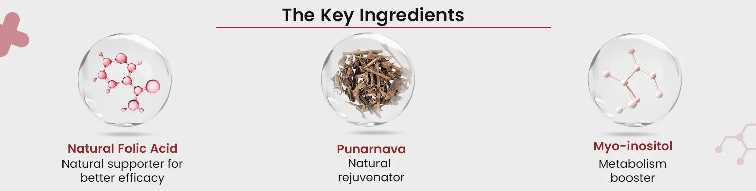 Plant-Based True Vitamin B12 Tablets For Energy & Brain