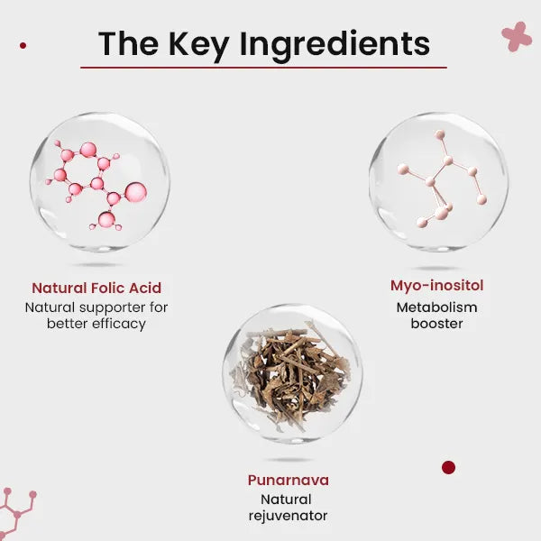 Plant-Based True Vitamin B12 Tablets For Energy & Brain