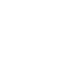 PERSONALIZED DIET & LIFESTYLE GUIDANCE