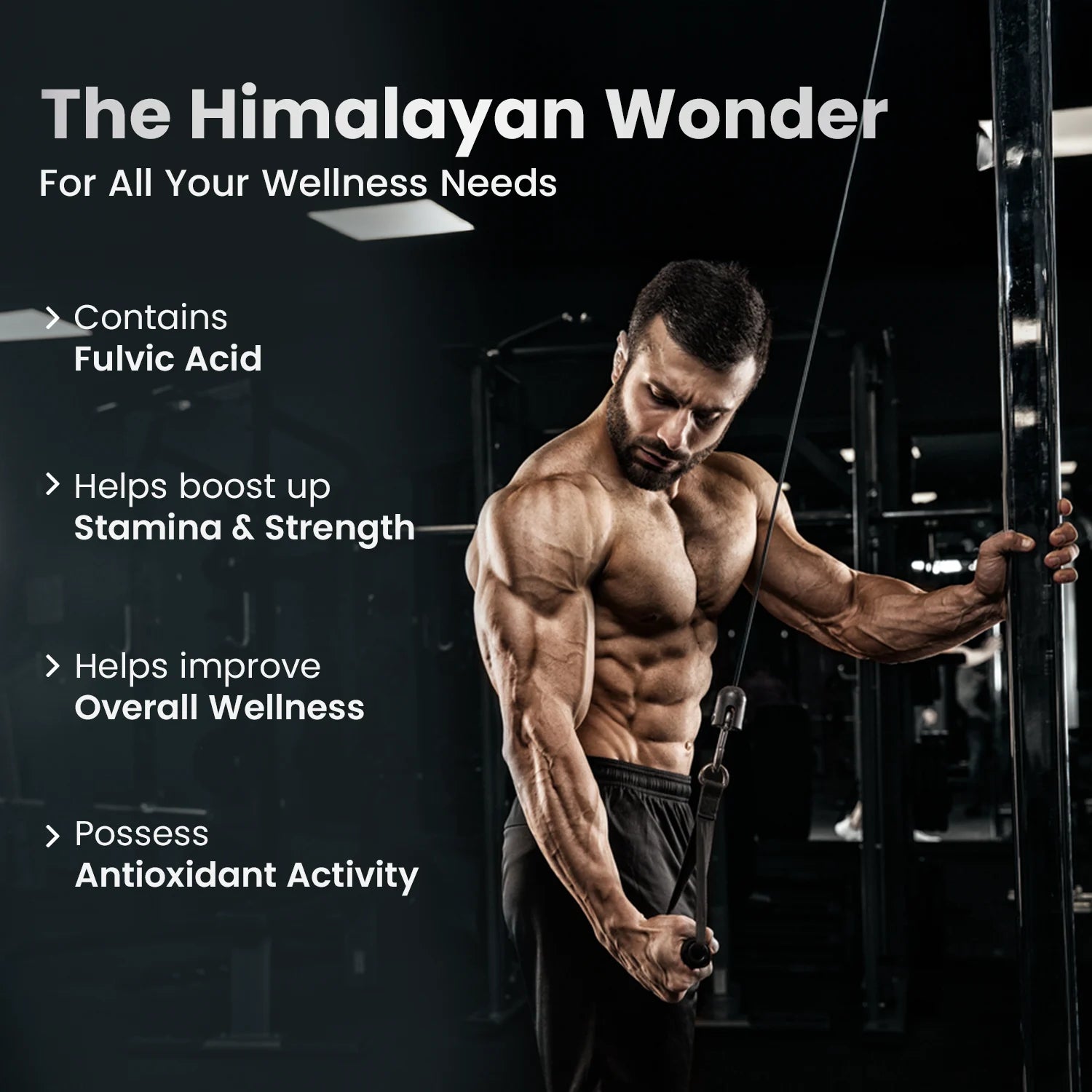 Pure Himalayan Shilajit Resin - Boost Stamina & Strength