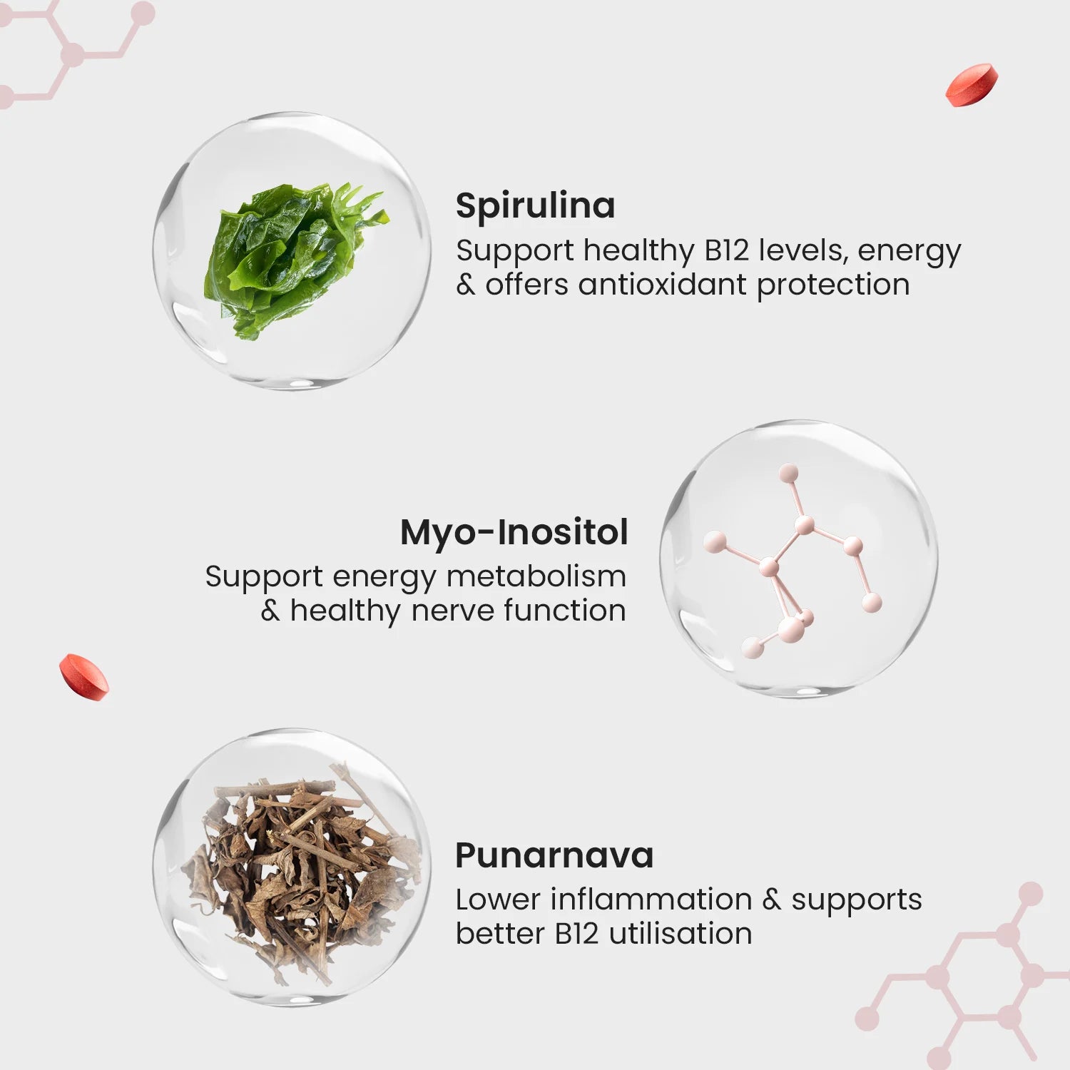 Plant-Based True Vitamin B12 Tablets For Energy & Brain image 5