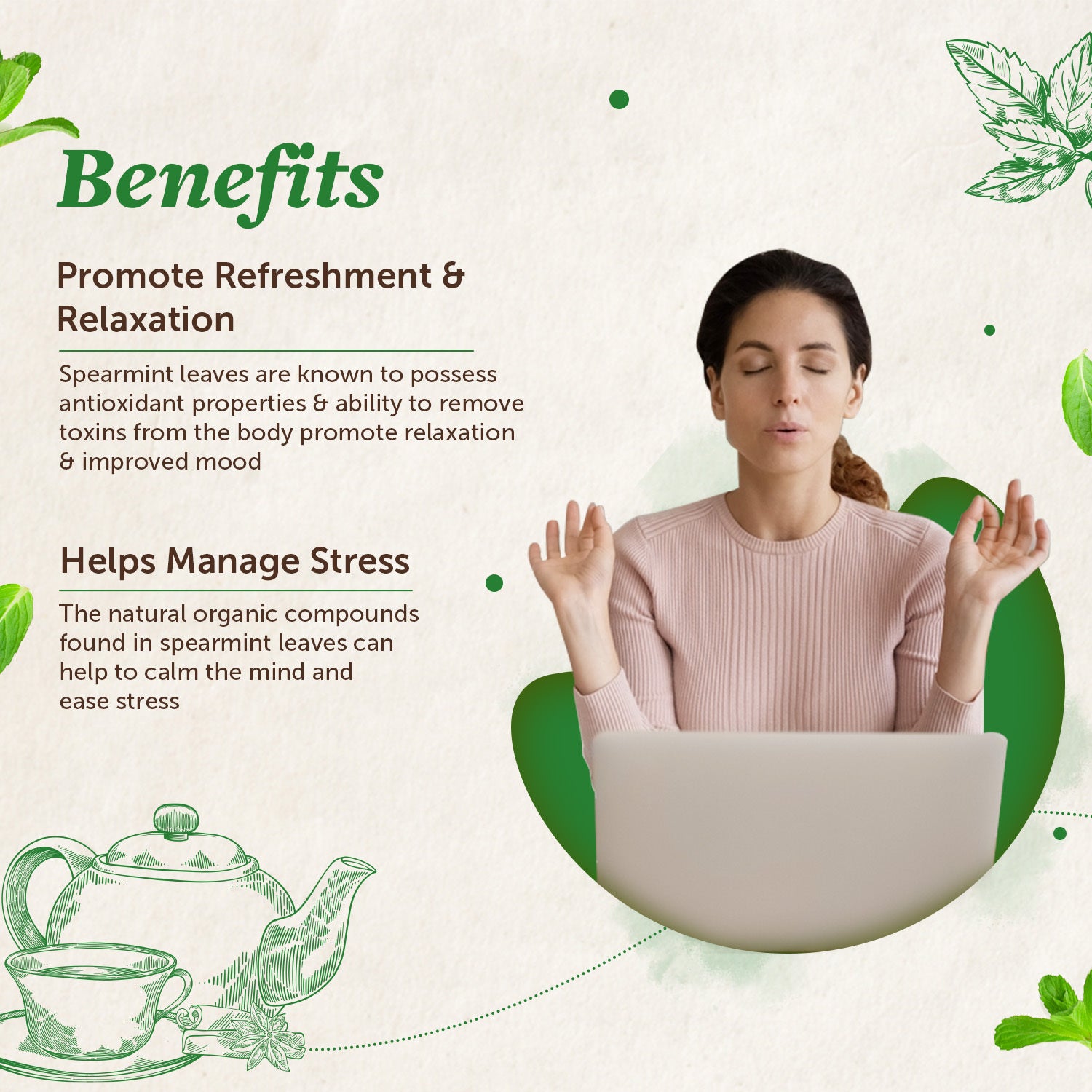Spearmint Tea Leaves for Refreshment & Stress - 100gm image 3