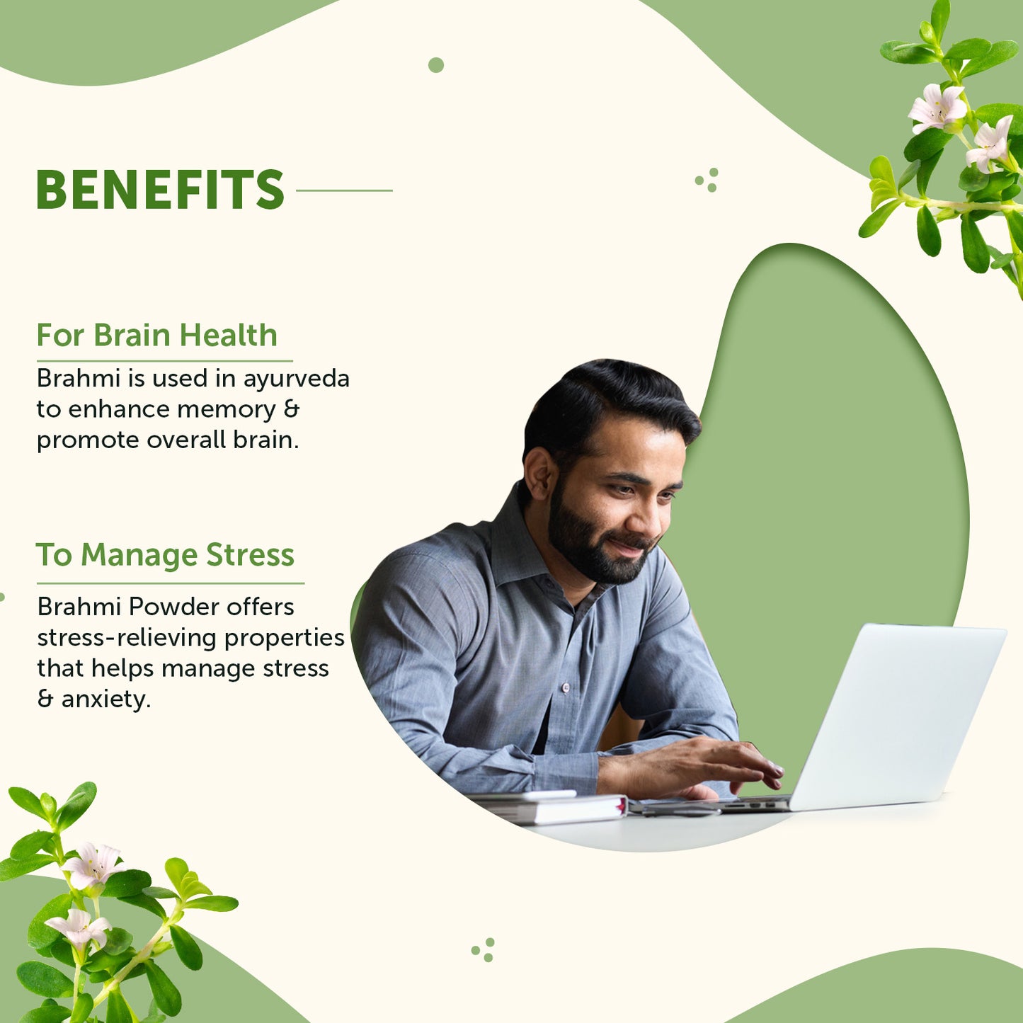 brahmi powder for brain