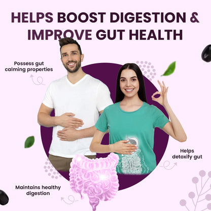 Natural Jamun Seed Powder for Blood Sugar Management