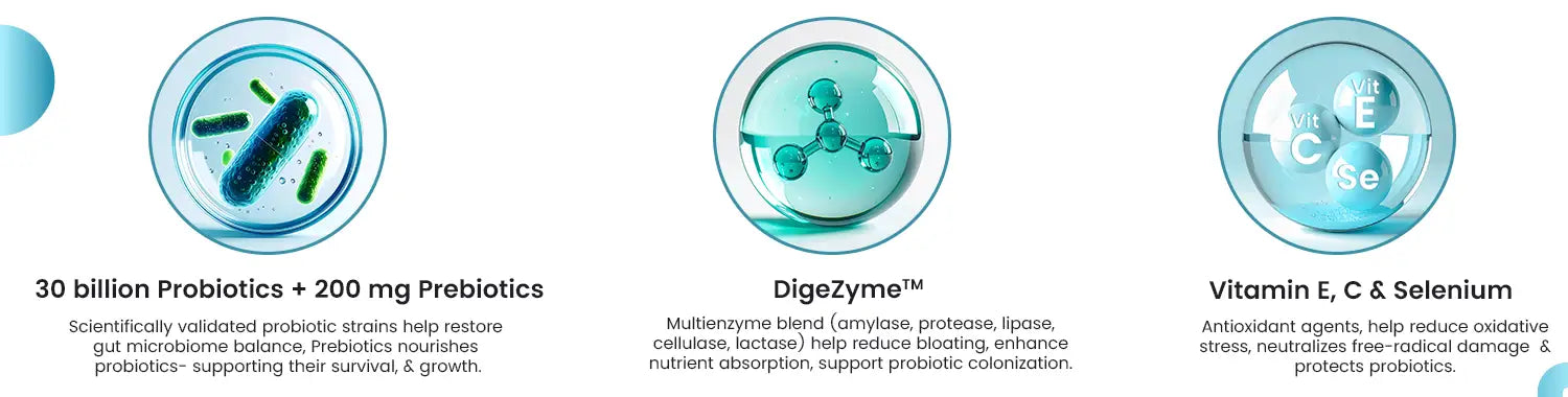 Daily Probiotic Capsules - Gut & Immune Health Boost