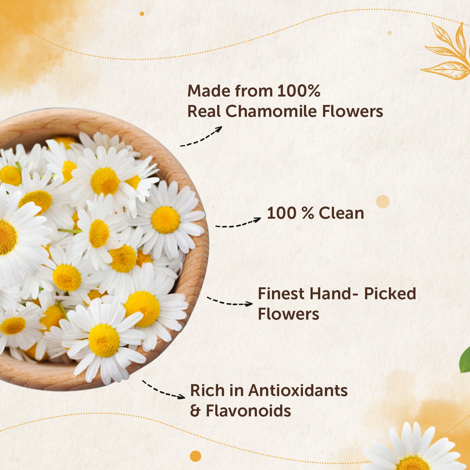 Chamomile Flower Tea For Blissful Sleep and Calm Mind- 30 gm image 3