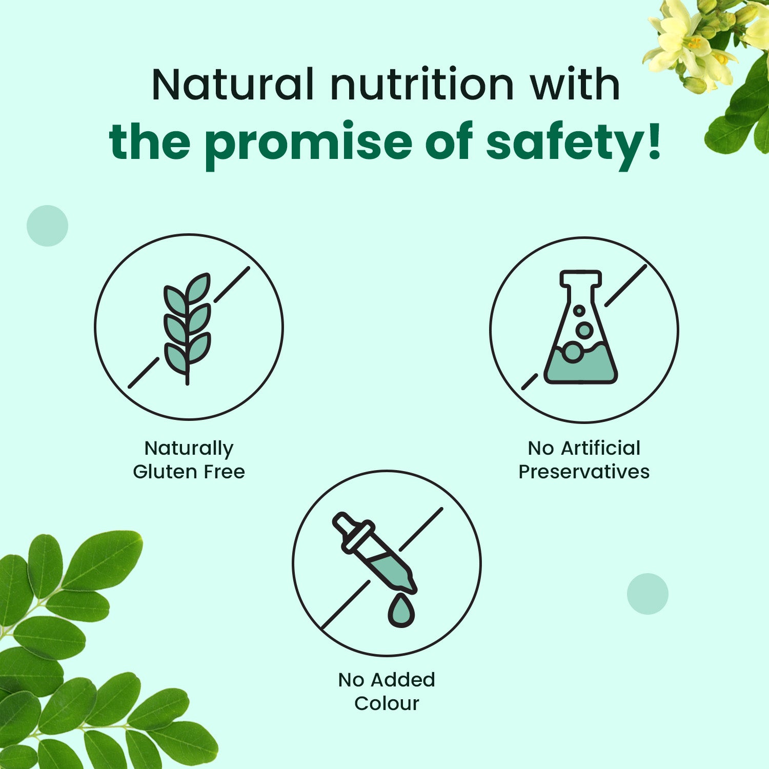 Organically Certified Moringa Tablet for High Energy, Detoxification and overall wellness for Men and Women