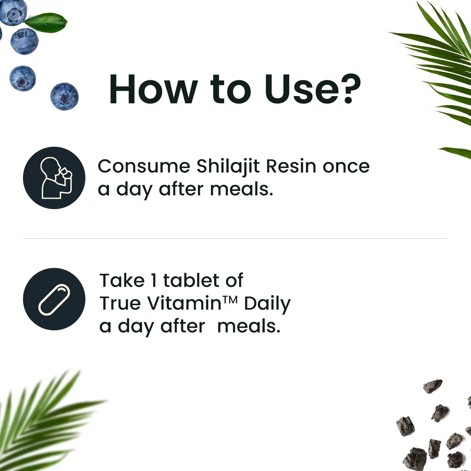 Men's Wellness Combo: True Vitamin & Pure Himalayan Shilajit