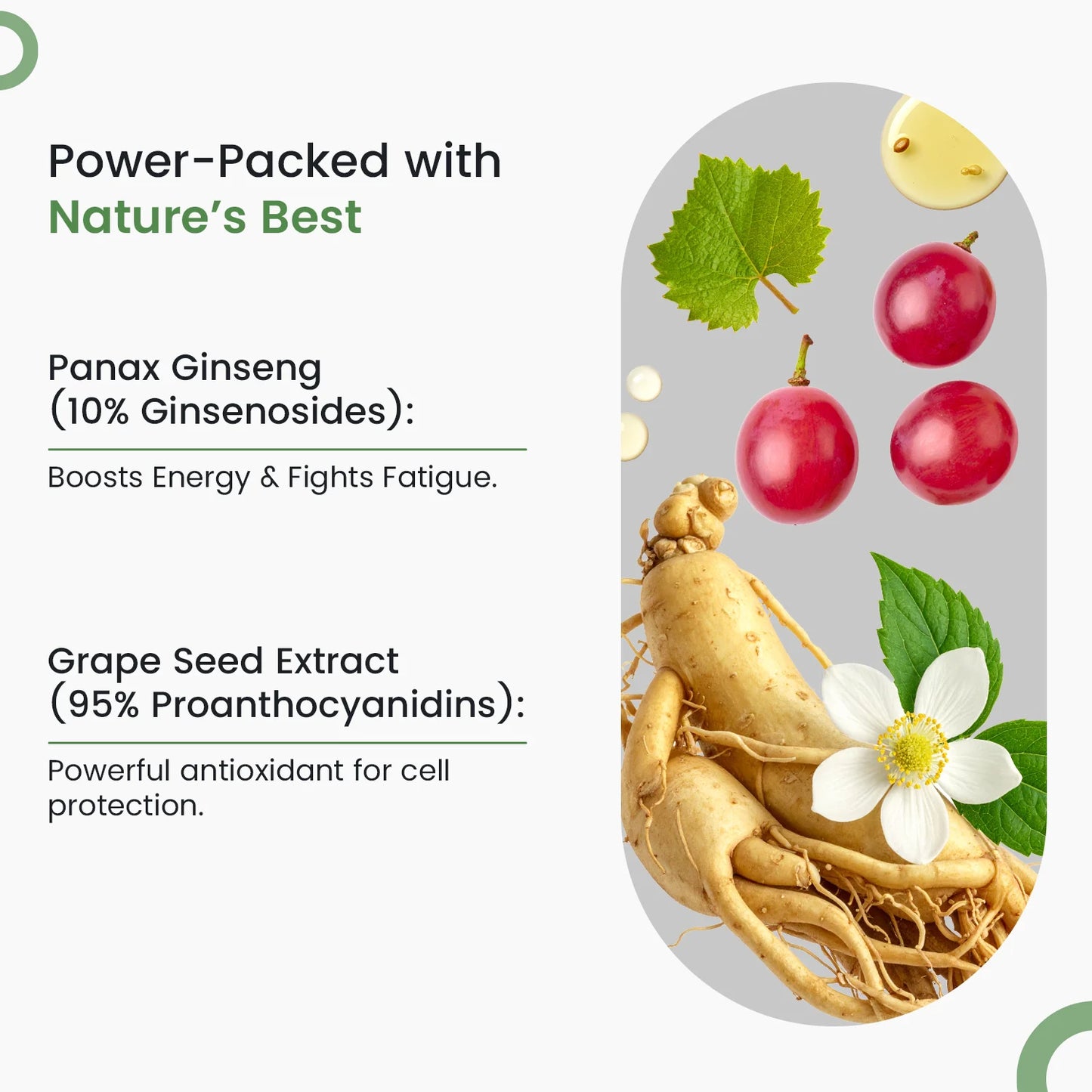 True Vitamin Daily - Multivitamins For Overall Health and Strength