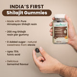 best shilajit resin gummies in india