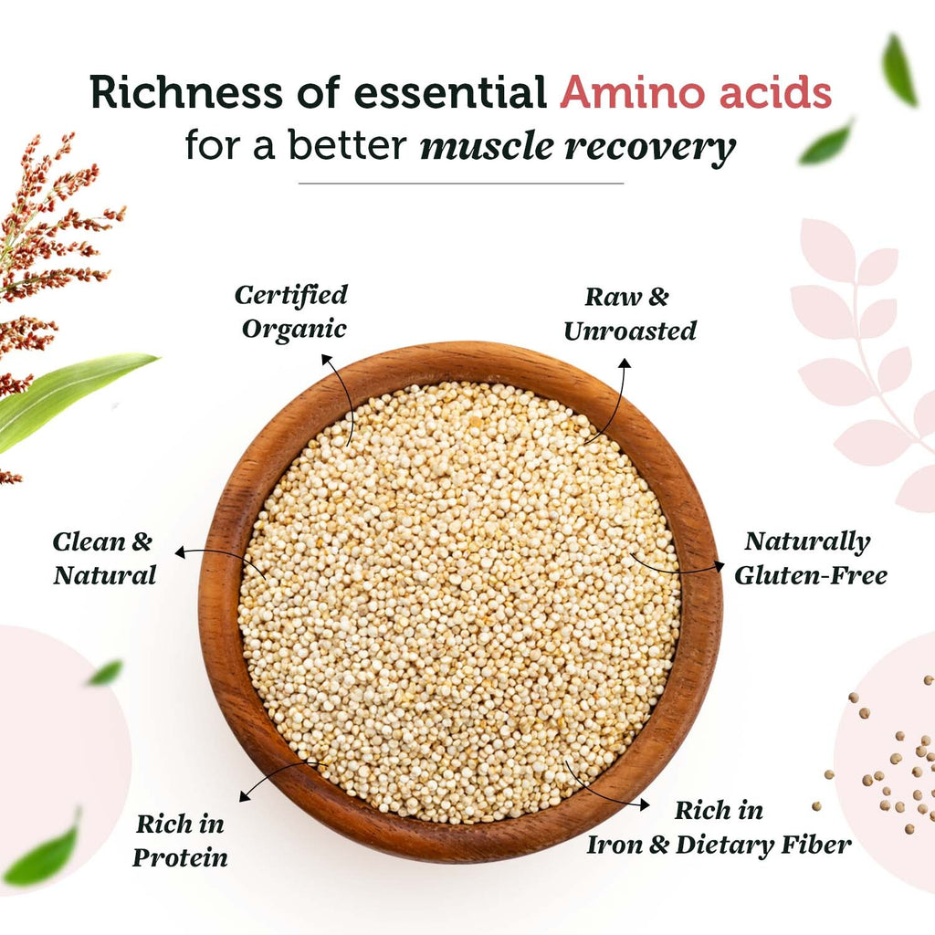 Fantastic Benefits of Quinoa for Hair Plus 5 Quinoa Hair Products to Try