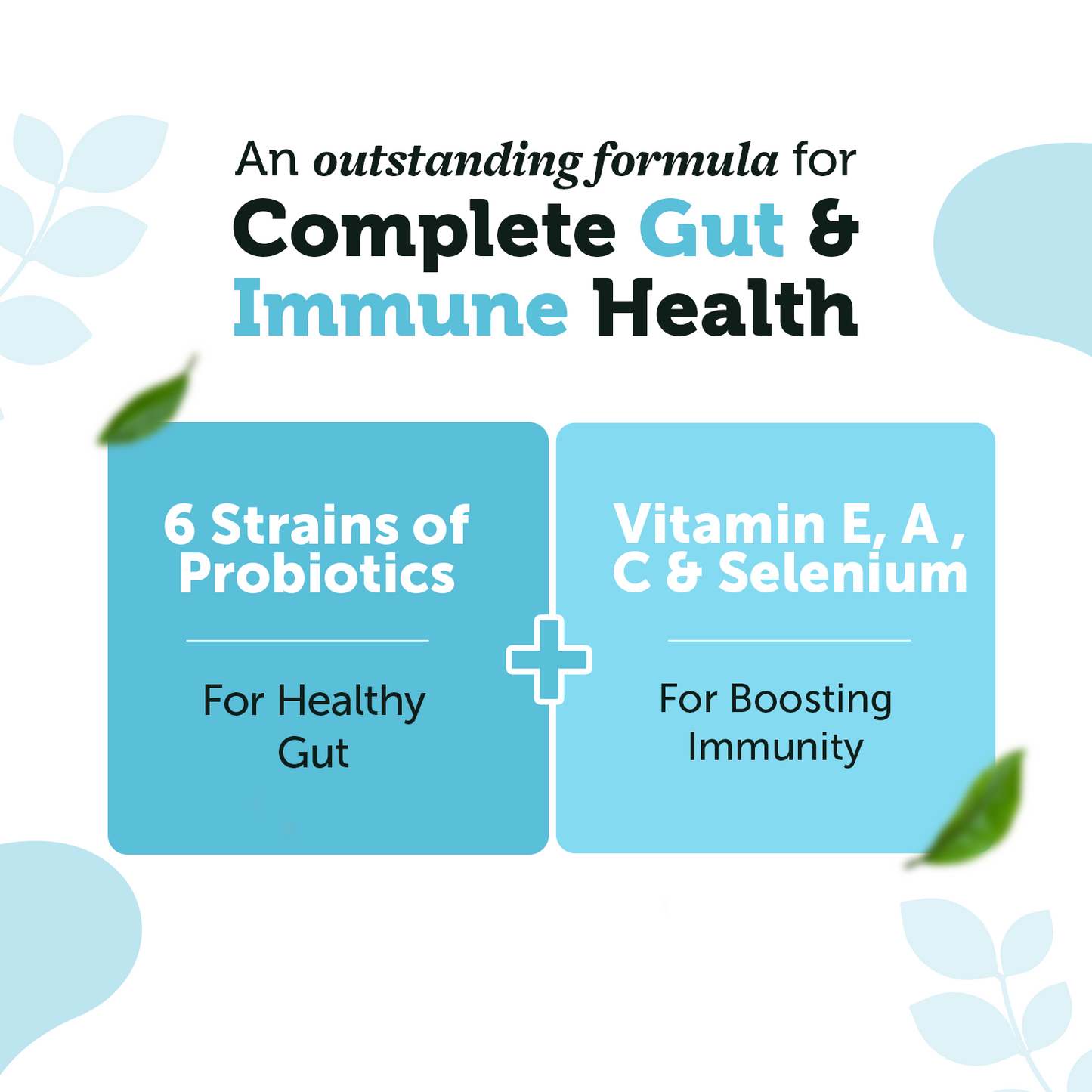 Daily Probiotic Capsules - Gut & Immune Health Boost