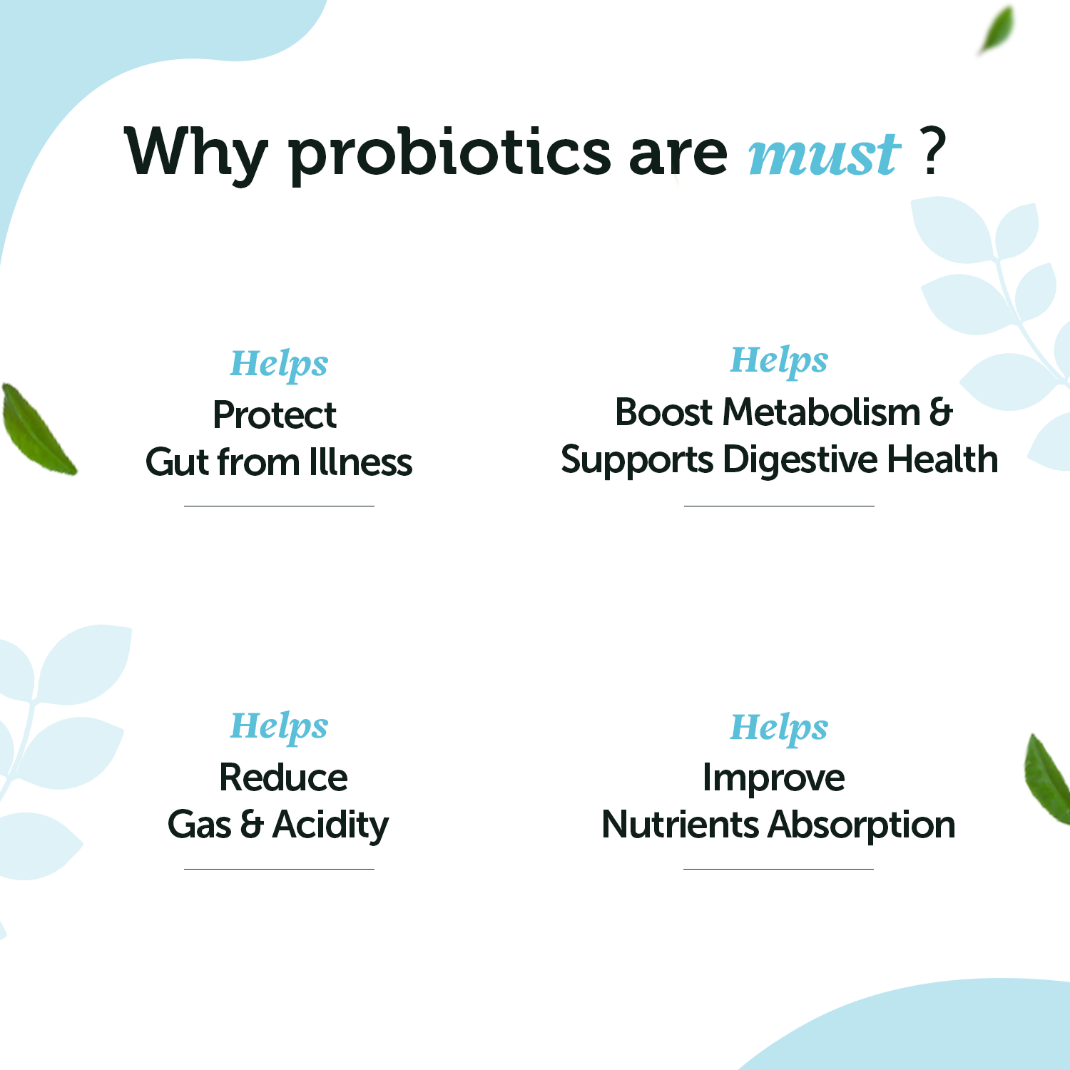 Daily Probiotic Capsules - Gut & Immune Health Boost