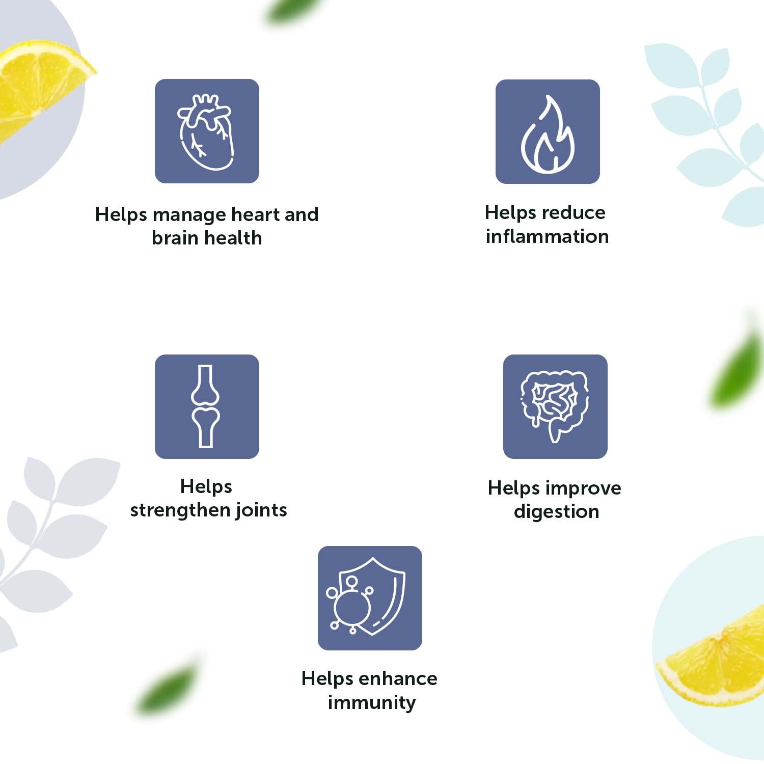 Omega-3 Fish Oil & Daily Probiotics Combo for Heart & Gut Health image 2
