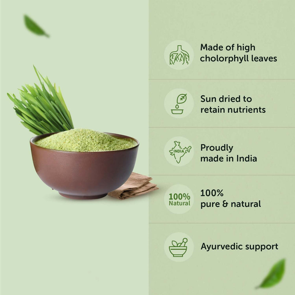 Organic Wheatgrass Powder help in Improves Immunity, Natural Detoxifier and Support Healthy Digestion for men and women.